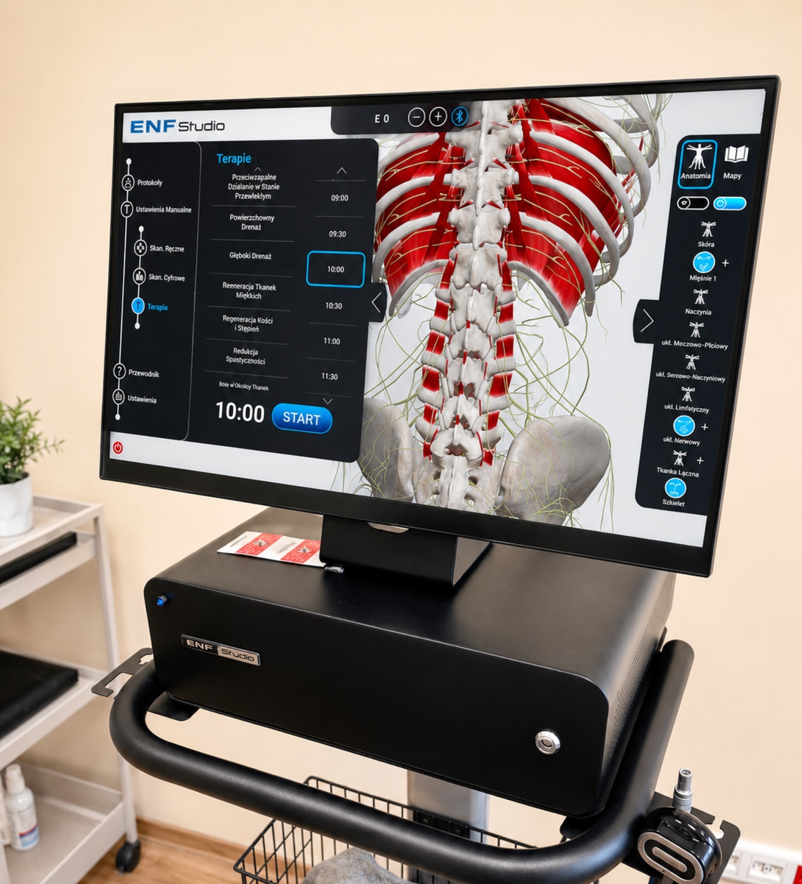 Terapia ENF – Bioneuro-Sports Bydgoszcz Terapia ENF – Bioneuro-Sports Bydgoszcz